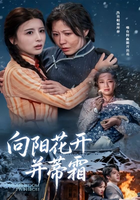 向阳花开并蒂霜